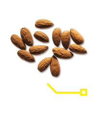58mg de magnésium pour 1 petite poignée d’amandes