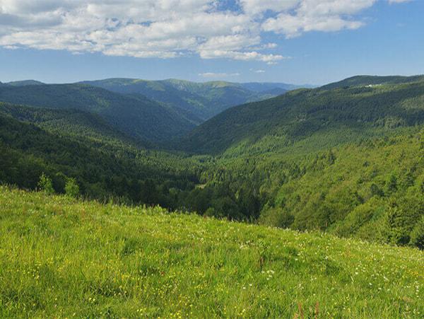Paysage naturel